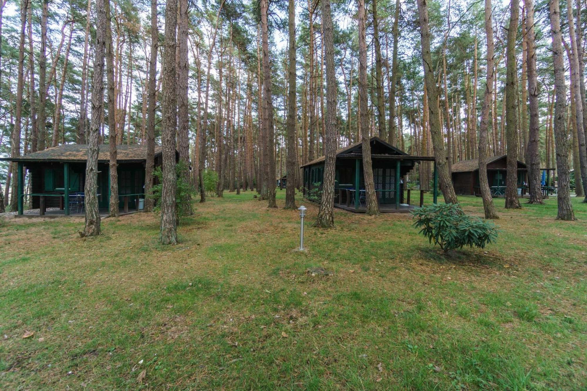 Hotel Urlaub im Bungalow - mitten im Wald Lutow Exterior foto