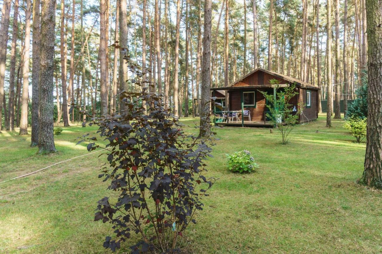 Hotel Urlaub im Bungalow - mitten im Wald Lutow Exterior foto